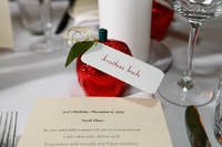 ©2003-2025 Molinoff Photography, LLC  All Rights Reserved