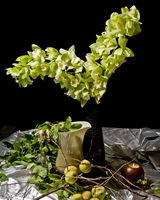 ©2003-2025 Molinoff Photography, LLC  All Rights Reserved