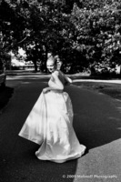 ©2003-2025 Molinoff Photography, LLC  All Rights Reserved