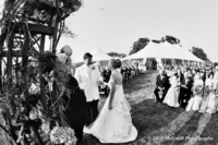 ©2003-2025 Molinoff Photography, LLC  All Rights Reserved