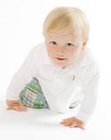 ©2003-2025 Molinoff Photography, LLC  All Rights Reserved