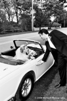©2003-2025 Molinoff Photography, LLC  All Rights Reserved