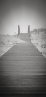 ©2003-2025 Molinoff Photography, LLC  All Rights Reserved