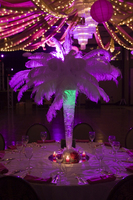 ©2003-2025 Molinoff Photography, LLC  All Rights Reserved