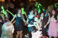 ©2003-2025 Molinoff Photography, LLC  All Rights Reserved