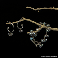 ©2003-2025 Molinoff Photography, LLC  All Rights Reserved