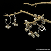 ©2003-2025 Molinoff Photography, LLC  All Rights Reserved