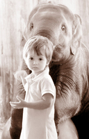 ©2003-2025 Molinoff Photography, LLC  All Rights Reserved
