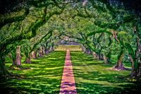 ©2003-2025 Molinoff Photography, LLC  All Rights Reserved