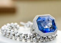 ©2003-2025 Molinoff Photography, LLC  All Rights Reserved