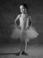 ©2003-2025 Molinoff Photography, LLC  All Rights Reserved