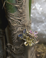 ©2003-2025 Molinoff Photography, LLC  All Rights Reserved