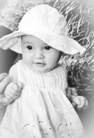 ©2003-2025 Molinoff Photography, LLC  All Rights Reserved
